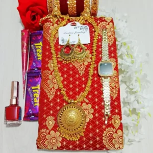 আকর্ষণীয় শাড়ী গিফট কম্ব সেট 6 Mejor Mart